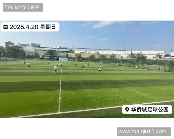 深入分析重庆足球队的运营策略与战术打法的专业解读 深入分析重庆足球队的运营策略与战术打法的专业解读